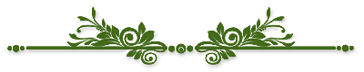 для главной-зеленая.png
