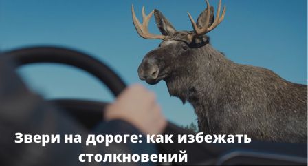 Без названия.jpg