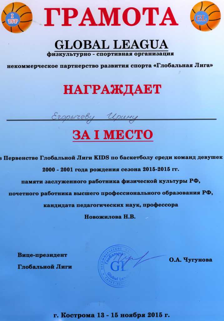 спортивные достижения.jpg
