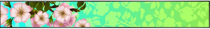 fresh-floral-vector-banner-pack — копия (2).jpg