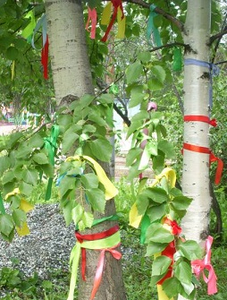 img_1498895393.jpg