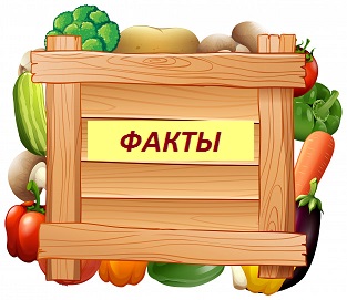 _1308-29057 - копия (2).jpg