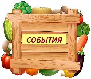 _1308-29057 - копия.jpg