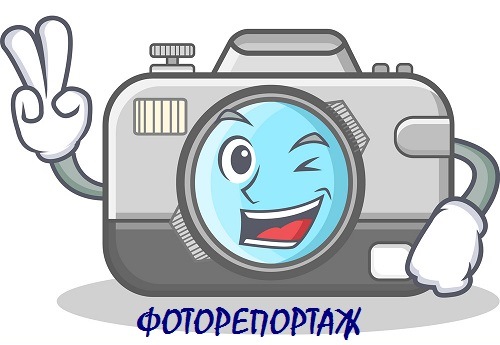 two-finger-photo-camera-character-cartoon-vector-17042504.jpg