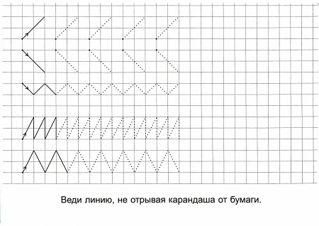 62729656.jpg