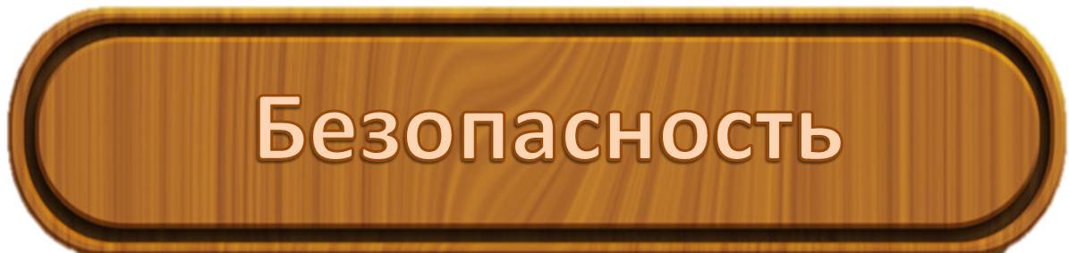 безопасность кнопка.jpg