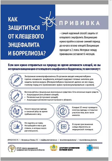 логнек.jpg