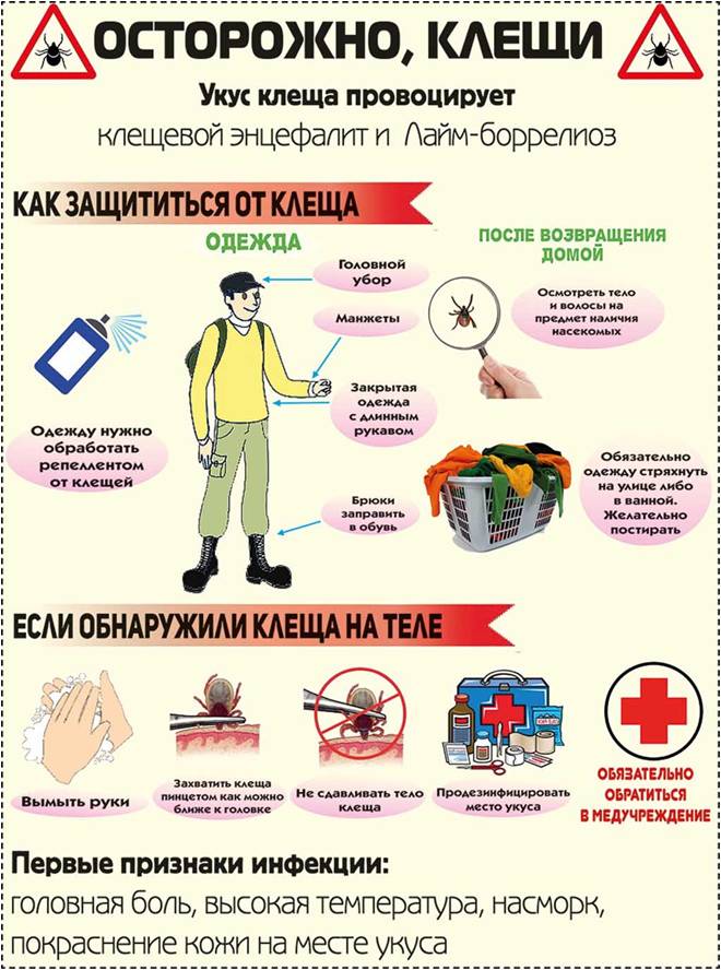парент.jpg
