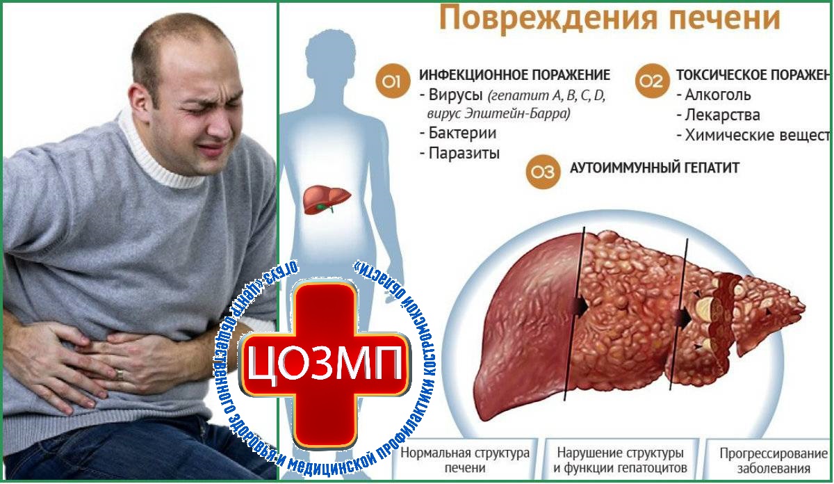 Повреждения печени.jpg