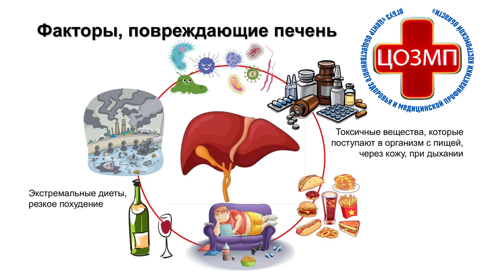 Что губит печень.jpg
