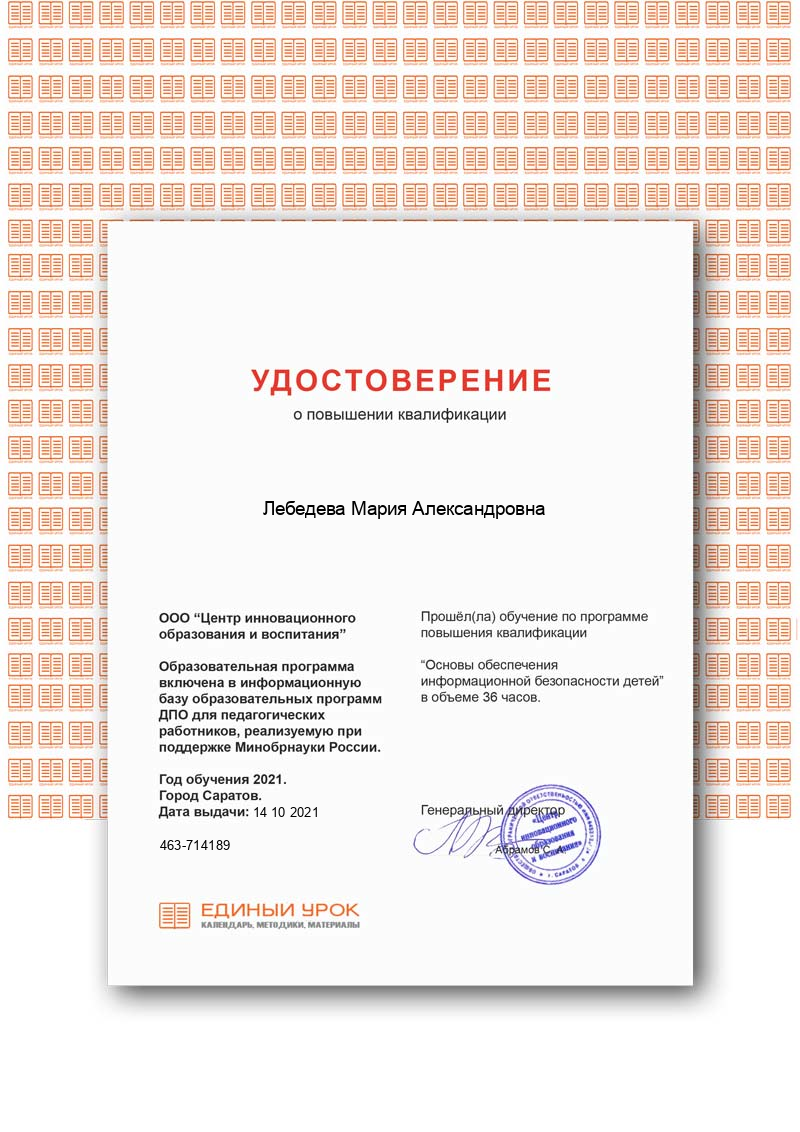 Основы обеспечения информационной безопасности детей.png