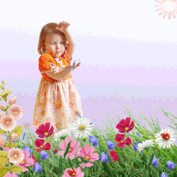 оф15.gif