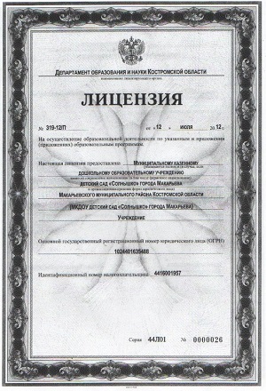 лицензия (5).jpg
