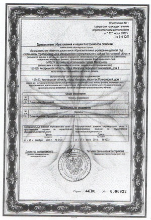 лицензия2 (4).jpg