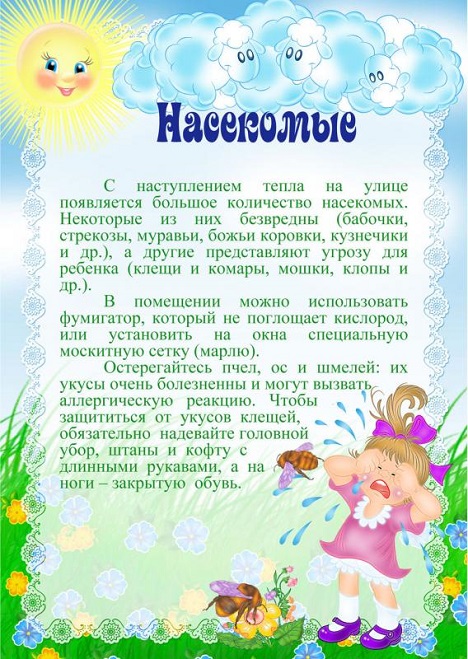 Nasecomie.jpg