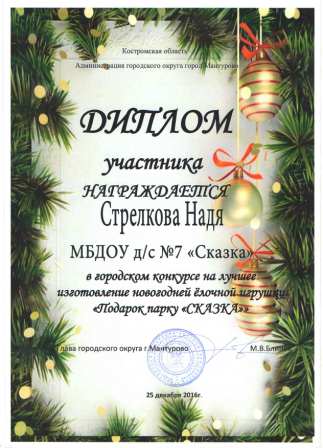 ДИплом Стрелкова Н.jpg