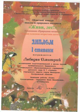 Диплом Лебедев Д.jpg