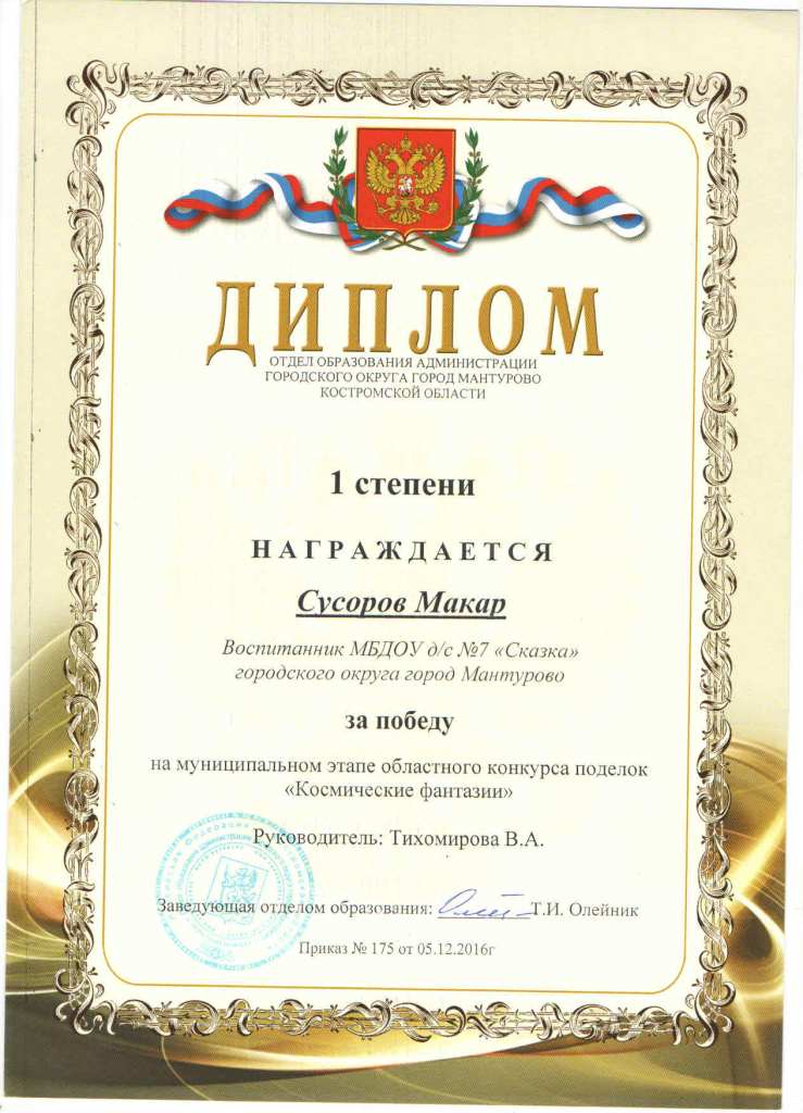 Диплом СМ.jpg