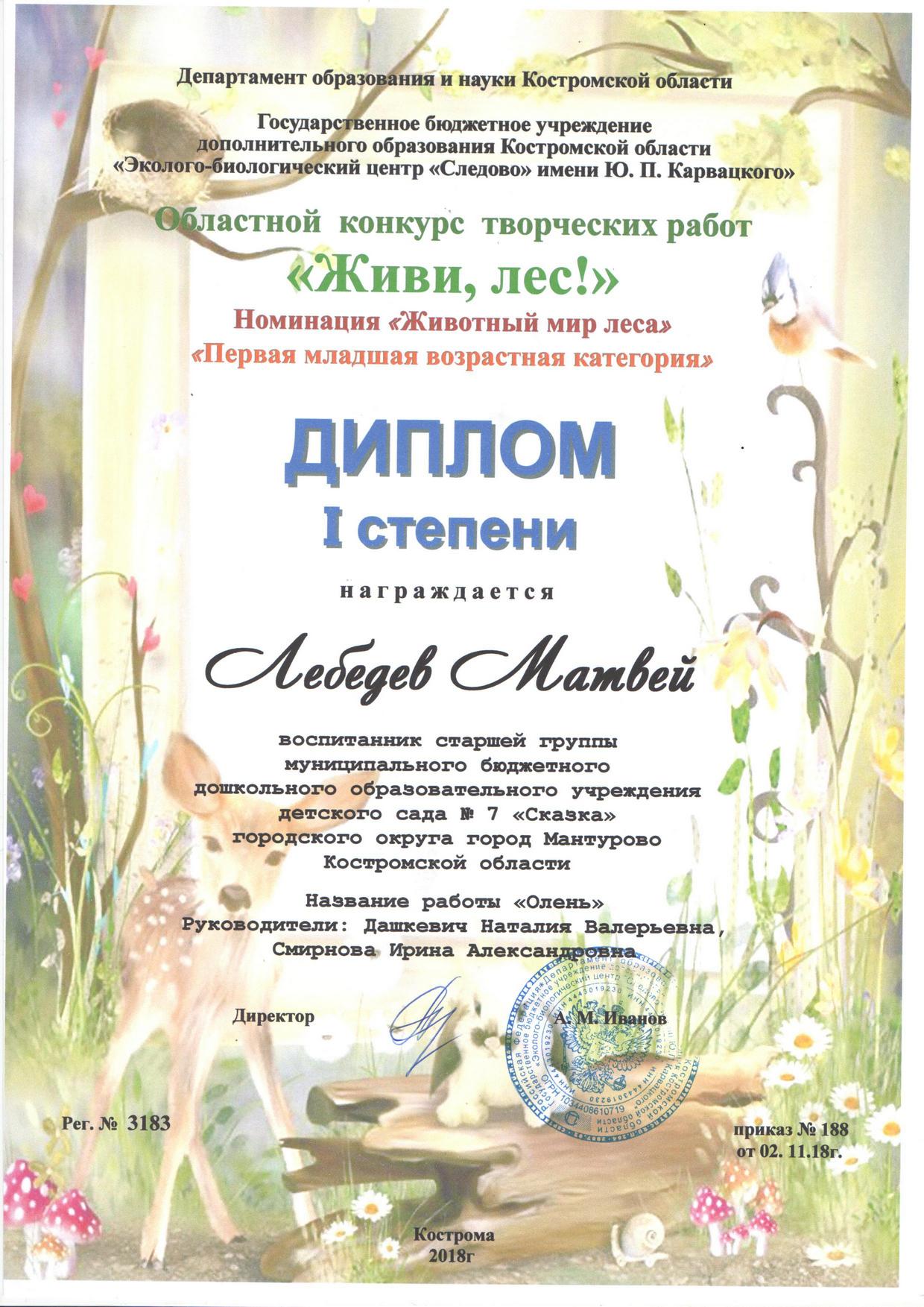 Лебедев Матвей ж.л 2018.jpg