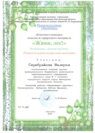 Свидетельство участника Серебрякова Лера.jpg