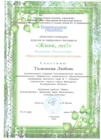 Свидетельство участника Тимонина Люба.jpg