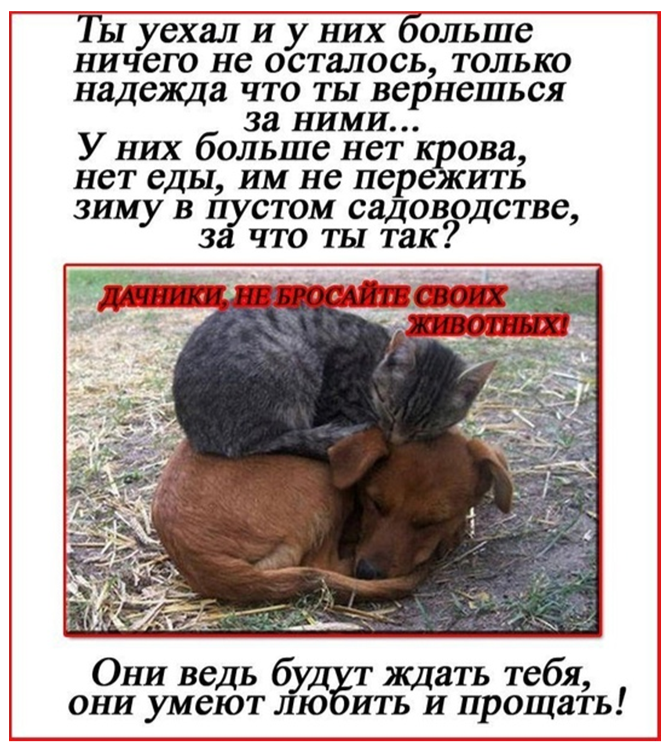 2024-09-27_12-41-43.png