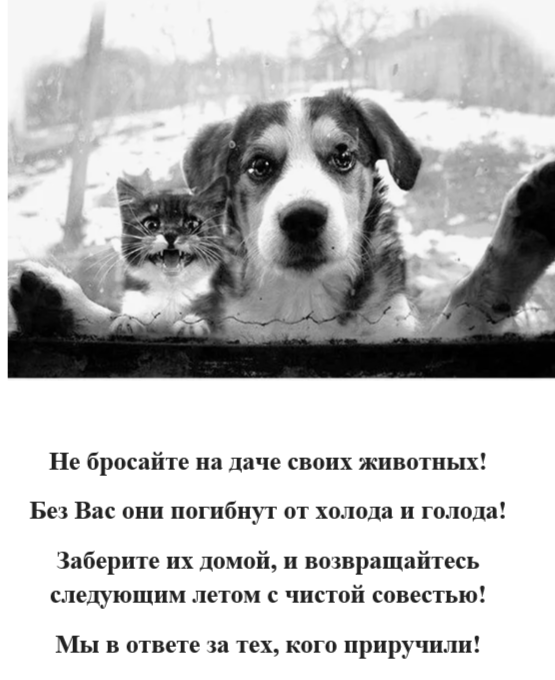 2024-09-27_12-42-23.png