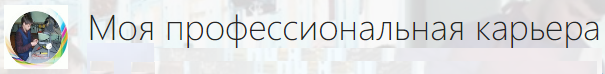 Моя профессиональная карьера.png