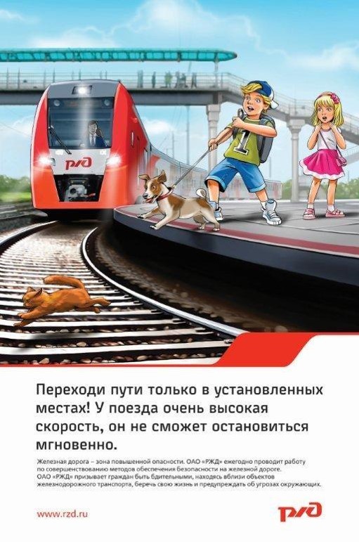 Рисунок1141120232.jpg