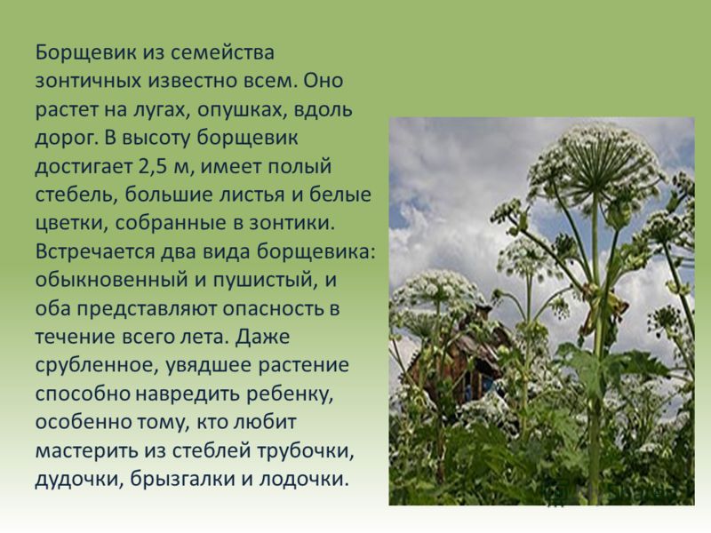 slide_12.jpg