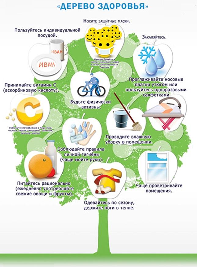 Дерево здоровья.jpg
