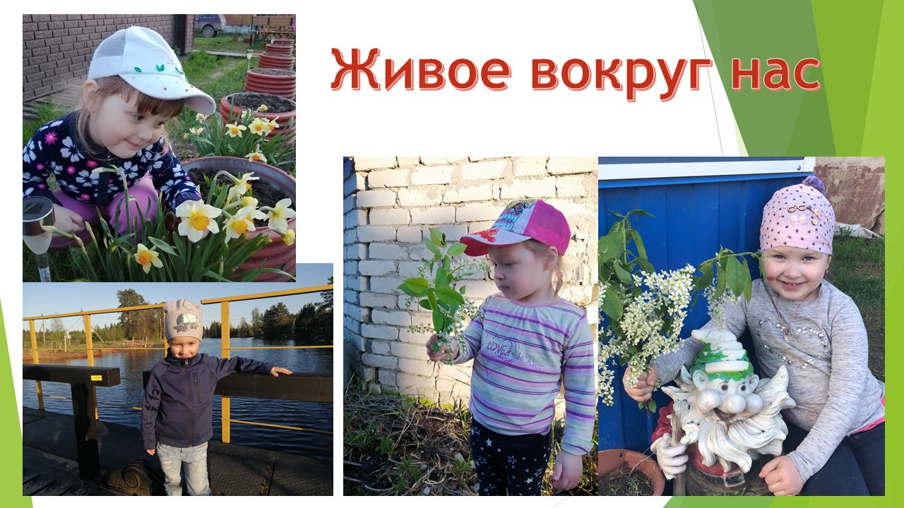Живое вкруг нас младшая 1.jpg