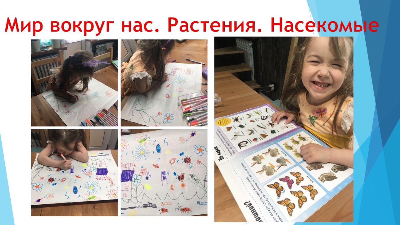 Мир вокруг нас.jpg