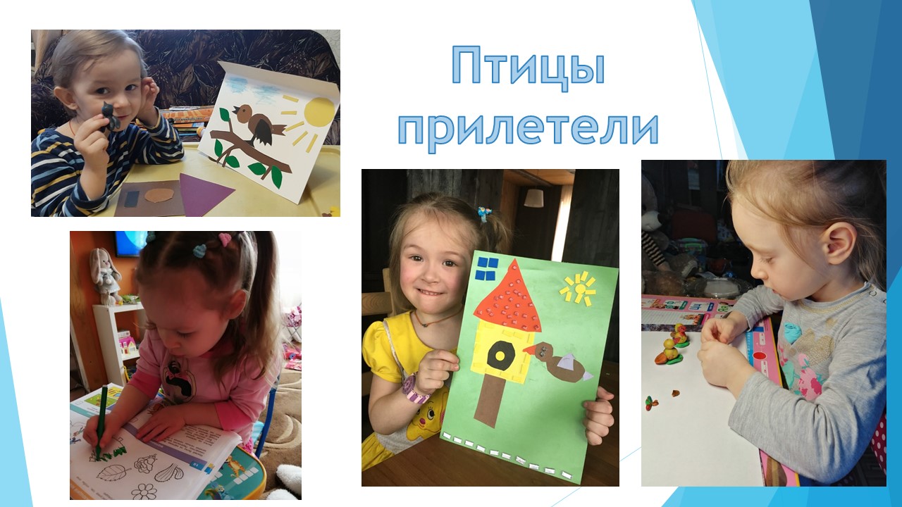 Птицы прилетели младшая.jpg