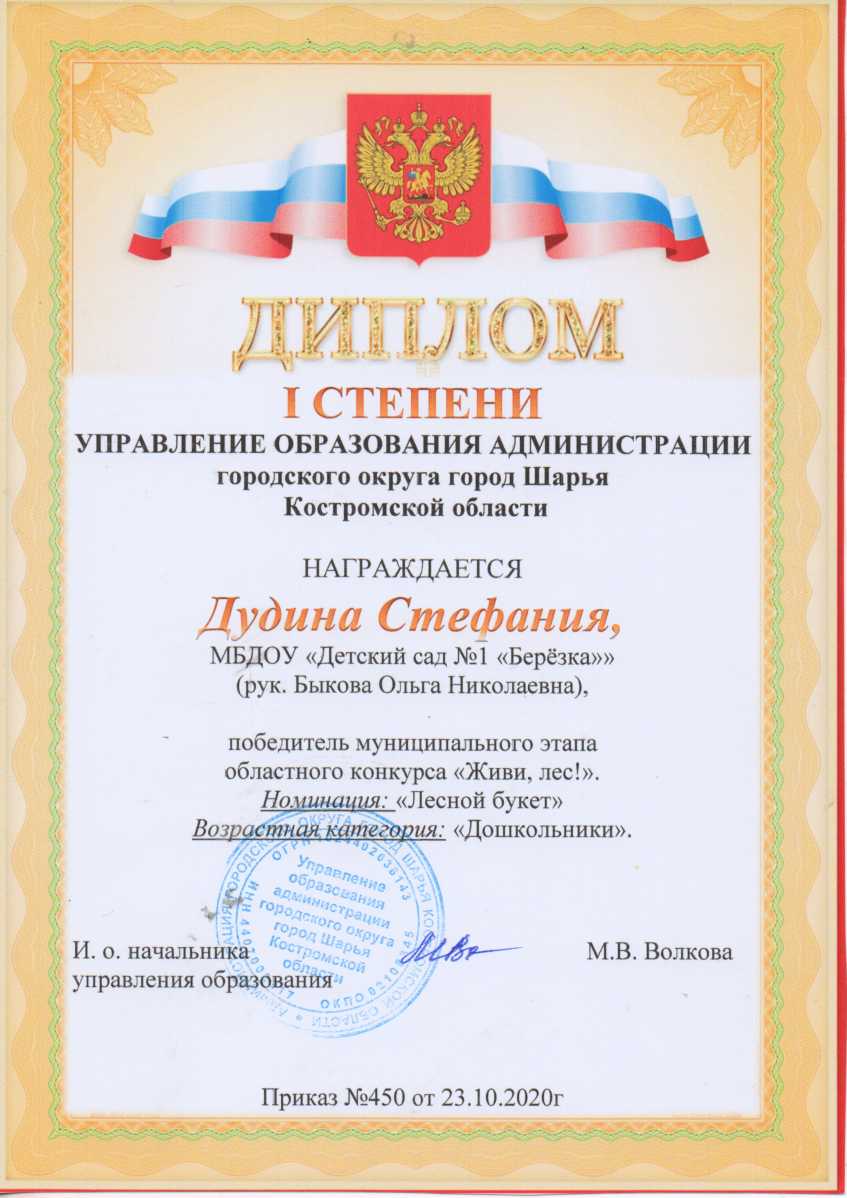 Дудина С диплом 1 степени.jpg