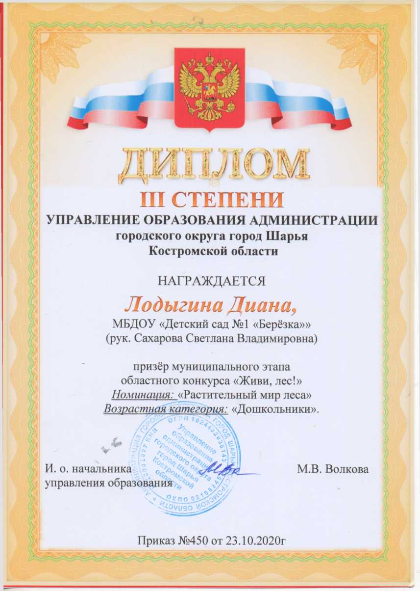 Лодыгина А диплом 3 степени.jpg