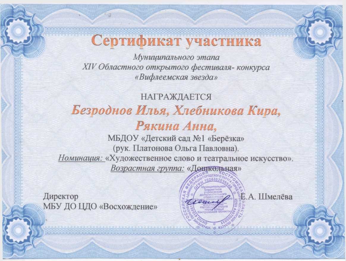 Сертификат Безроднов Хлебникова Рякина.jpg