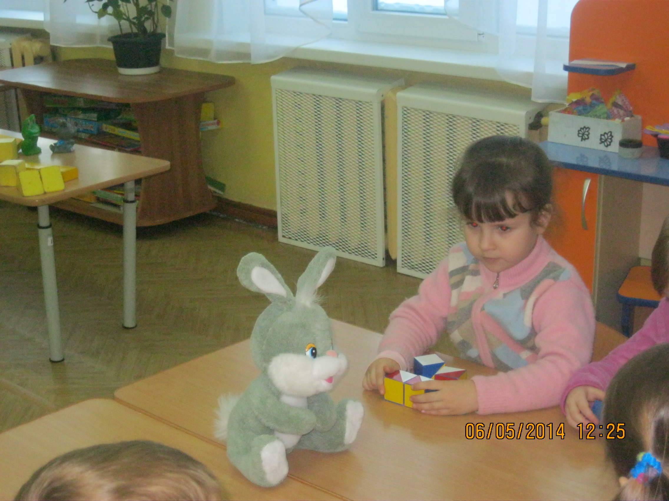 IMG_9772.JPG