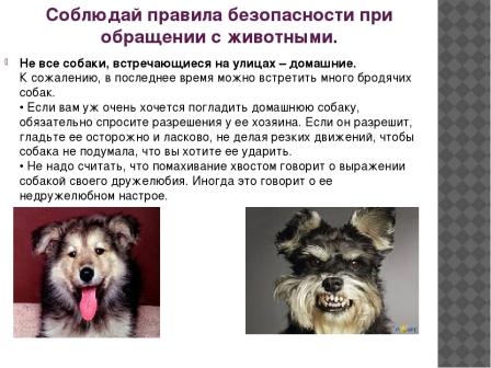 50885e3d7358fc047691b05e9ea2f142.jpeg
