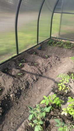 2016-05-27-0976.jpg