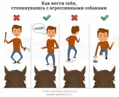50885e3d7358fc047691b05e9ea2f142.jpeg