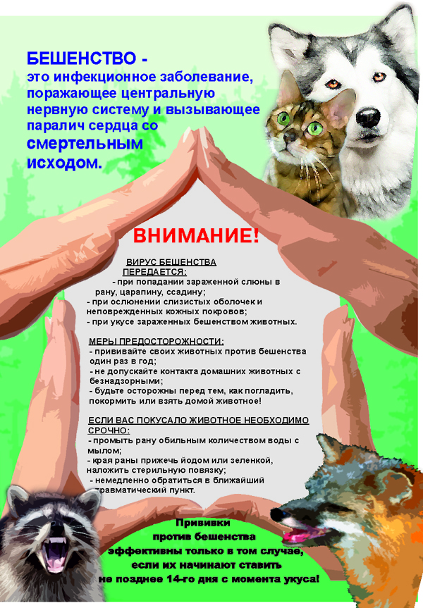 959efa09e2c6861872894fdeb2f83560.jpg