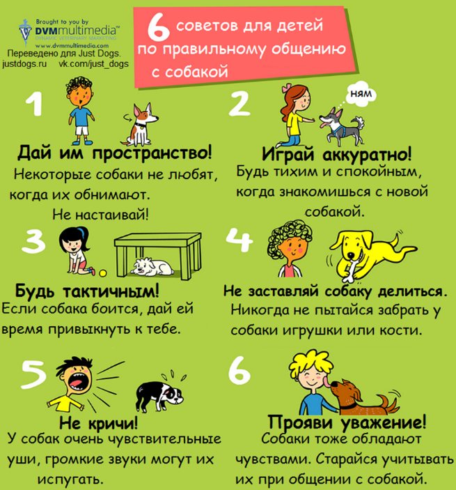 959efa09e2c6861872894fdeb2f83560.jpg