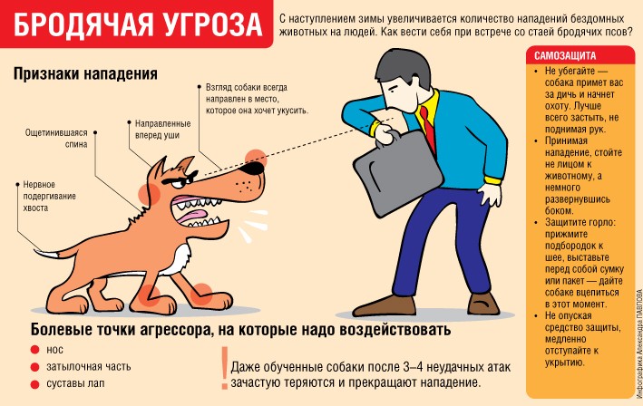 Нападение собак.jpg