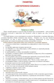 собак4.jpg