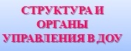 структура и органы .jpg