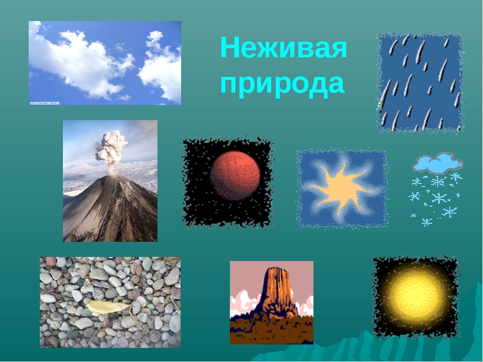 неживая природа 1.jpg