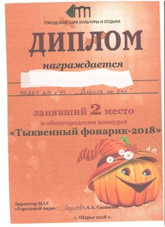 диплом 001.jpg