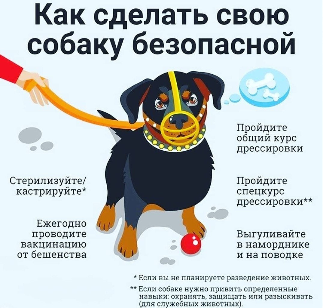 2910533920.jpg