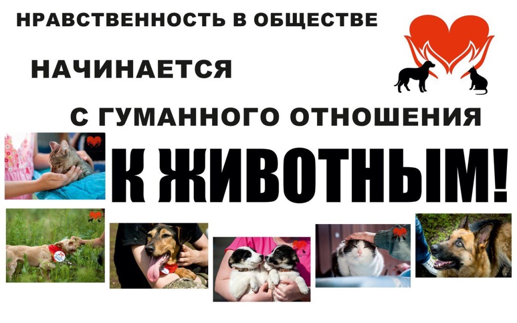 47cea22dc7e0683bd48a4ebfe5d3608c.jpg